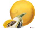 panciotti melanzaneok (1)